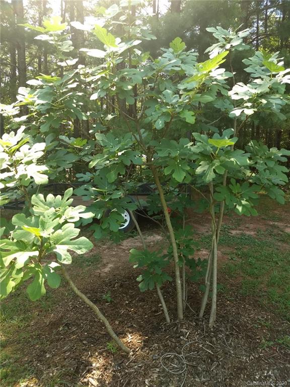 400 Pinnacle Church Road Nebo, NC 28761 - Photo 37 of 39 Gallery Image 37