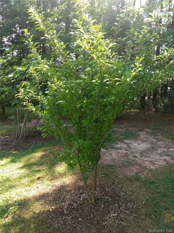 400 Pinnacle Church Road Nebo, NC 28761 - Photo 38 of 39 Gallery Image 38