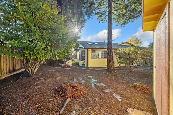 a view of a house with backyard and a tree