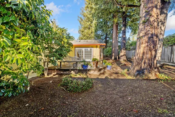 a view of backyard with a table and chairs and potted plants