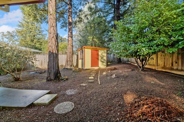 a view of a backyard with large tree