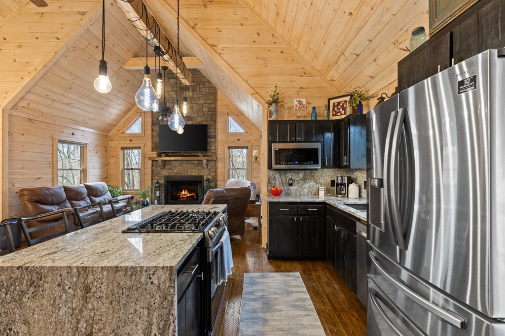 111 Windy Valley Lane Blue Ridge, GA 30513 - Photo 9 of 45 Stainless Appliances