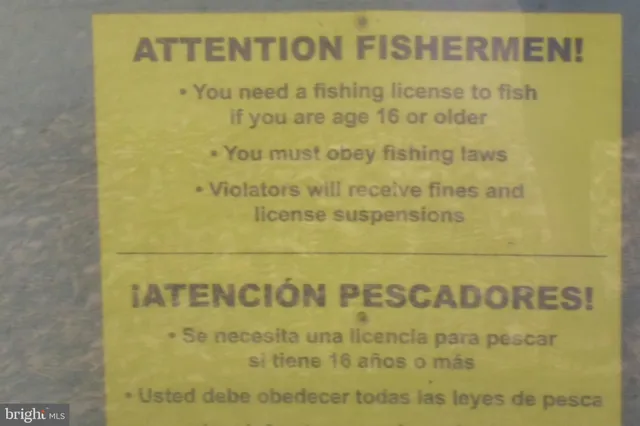 a view of a park with a bench