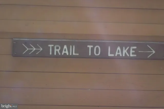 a view of yard with green space