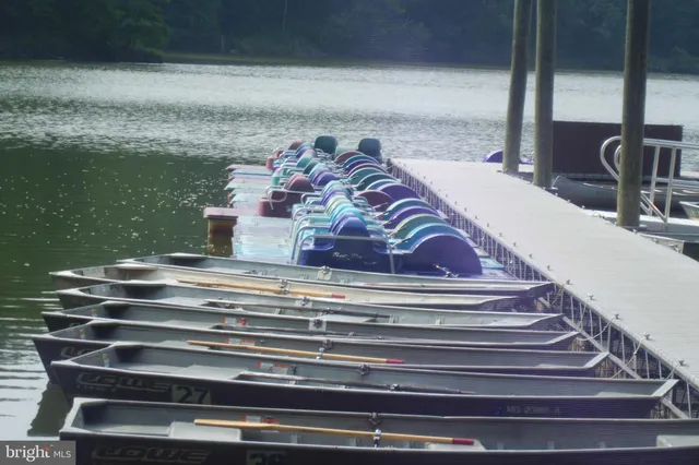 a view of a flower in a garden