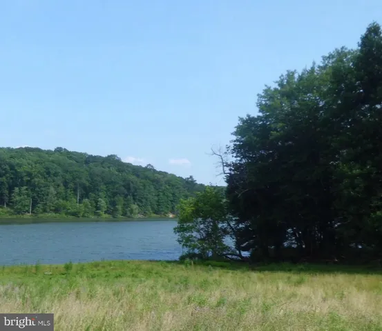 a view of a lush green forest with lots of trees