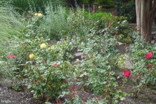 a view of a garden with flowers and trees
