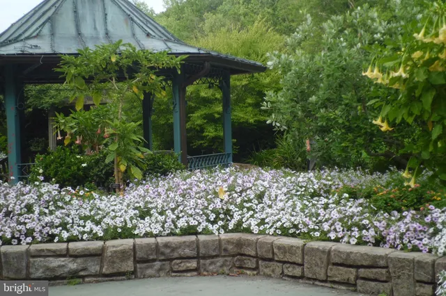 a view of a chair and fire pit in the garden next to a yard