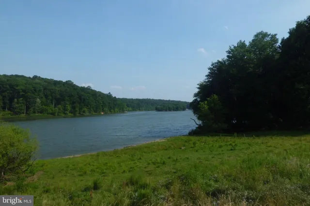 a view of swimming pool from a garden