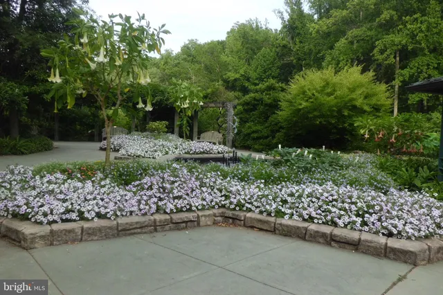 $3,350 | 3808 Delano Street, Silver Spring, MD 20902