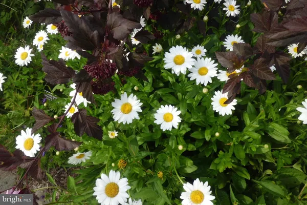 $2,850 | 3808 Delano Street, Silver Spring, MD 20902