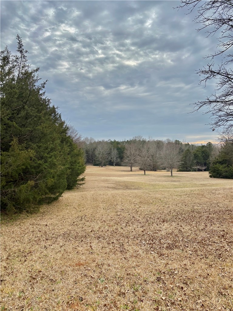354 Harper Road Pendleton, SC 29670 - Photo 26 of 30 Expansive greenbelt offers a serene setting with mature trees and vast open space.