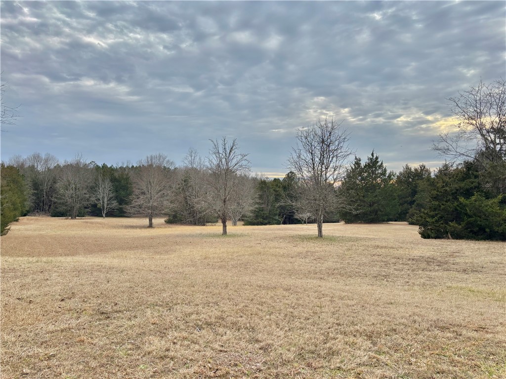 354 Harper Road Pendleton, SC 29670 - Photo 27 of 30 Expansive green spaces and mature trees define this idyllic natural setting.