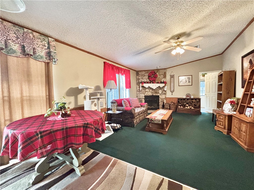 354 Harper Road Pendleton, SC 29670 - Photo 10 of 30 This inviting living space features a cozy fireplace and vaulted ceilings for comfortable gatherings.