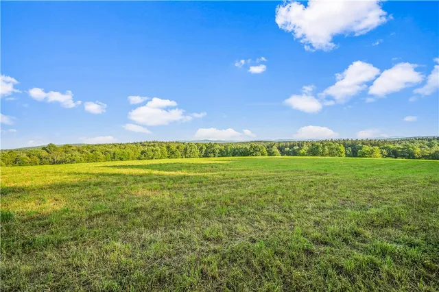 $99,000 | 153 Stone Ridge Drive, Jefferson, NY 12093