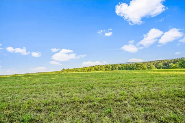 $99,000 | 153 Stone Ridge Drive, Jefferson, NY 12093