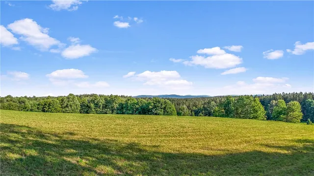 $99,000 | 153 Stone Ridge Drive, Jefferson, NY 12093