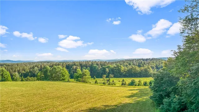 $99,000 | 153 Stone Ridge Drive, Jefferson, NY 12093