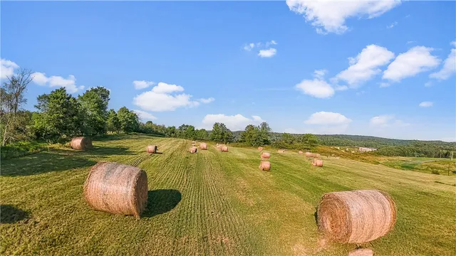 $99,000 | 153 Stone Ridge Drive, Jefferson, NY 12093