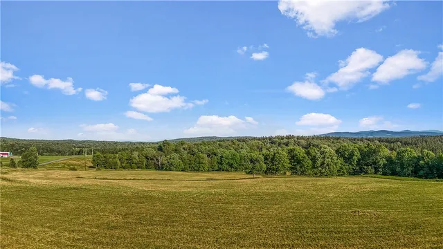 $99,000 | 153 Stone Ridge Drive, Jefferson, NY 12093