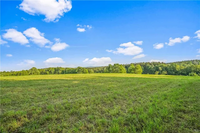 $99,000 | 153 Stone Ridge Drive, Jefferson, NY 12093