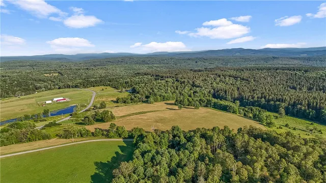 $99,000 | 153 Stone Ridge Drive, Jefferson, NY 12093