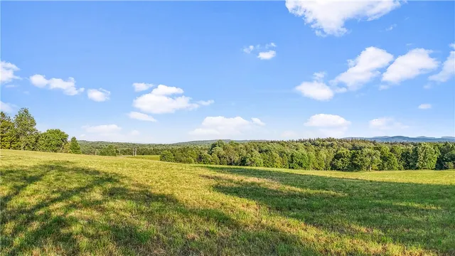 $99,000 | 153 Stone Ridge Drive, Jefferson, NY 12093