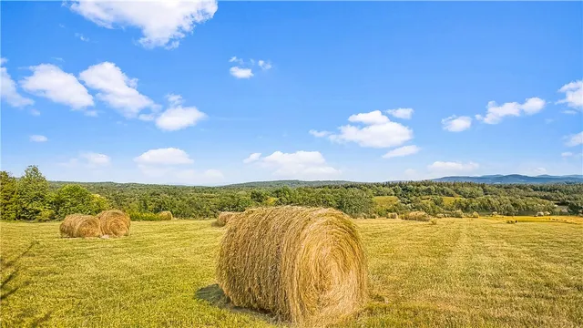 $99,000 | 153 Stone Ridge Drive, Jefferson, NY 12093