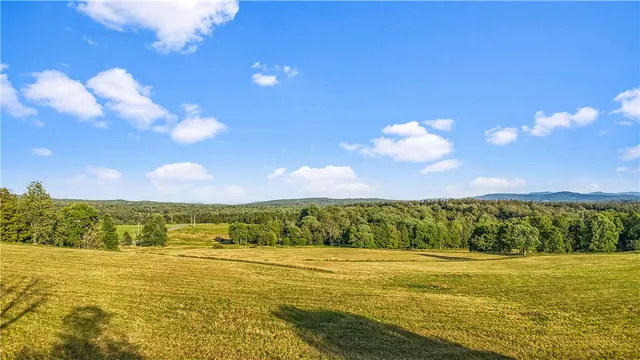 $99,000 | 153 Stone Ridge Drive, Jefferson, NY 12093