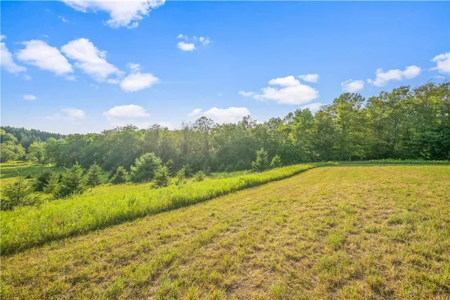 $99,000 | 153 Stone Ridge Drive, Jefferson, NY 12093