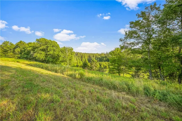 $99,000 | 153 Stone Ridge Drive, Jefferson, NY 12093