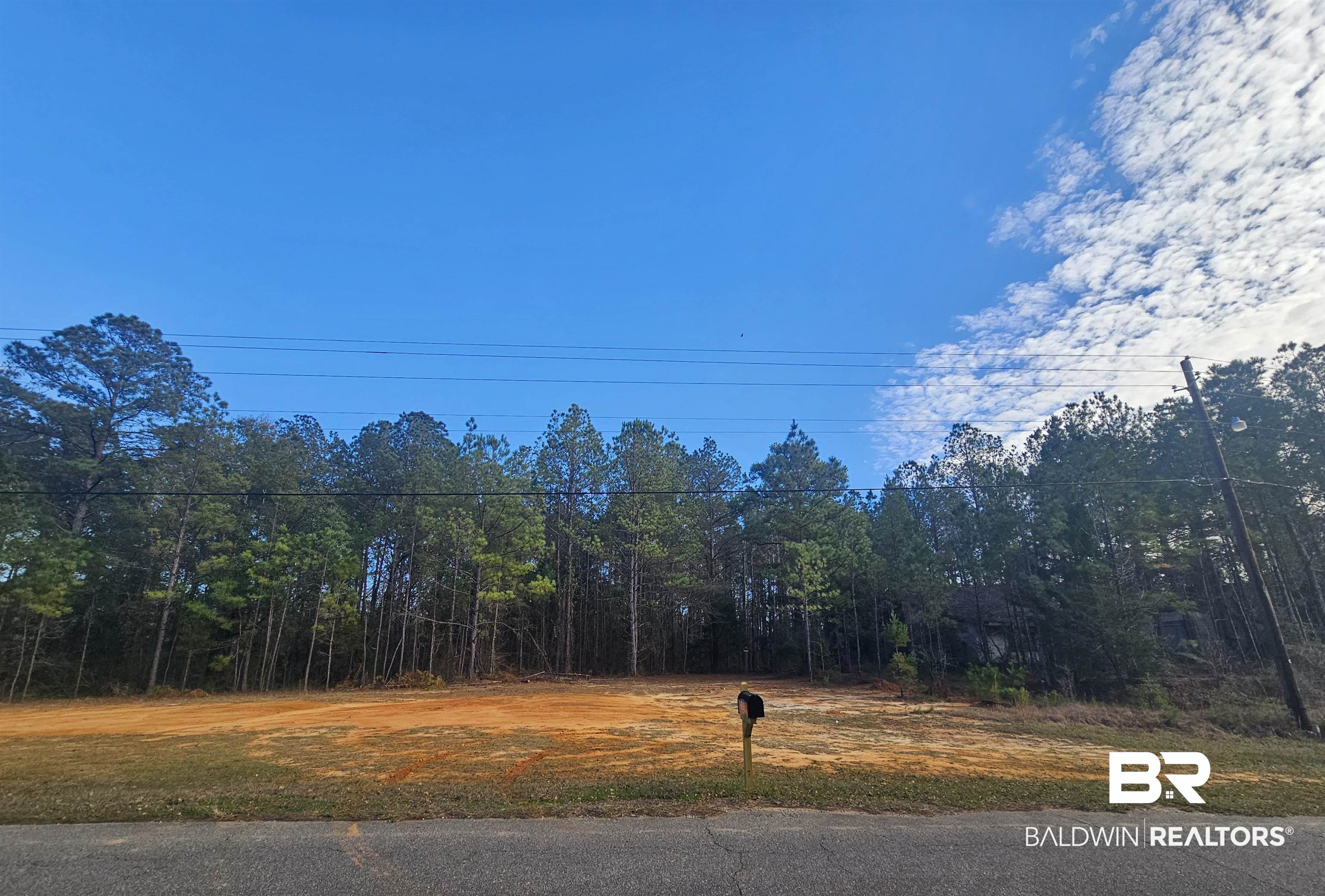 500 Owassa Road Evergreen, AL 36401 - Photo 2 of 5 View of street