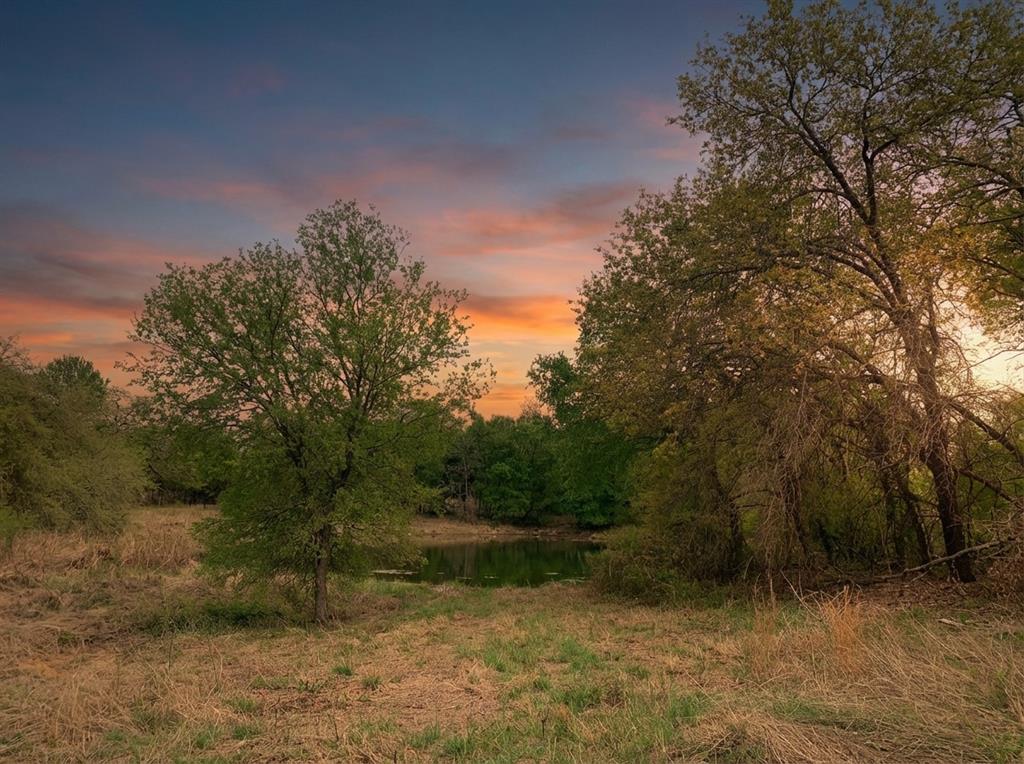 1039-1033 Creek Crossing Road Nemo, TX 76070 - Photo 2 of 29 a view of lake with green space