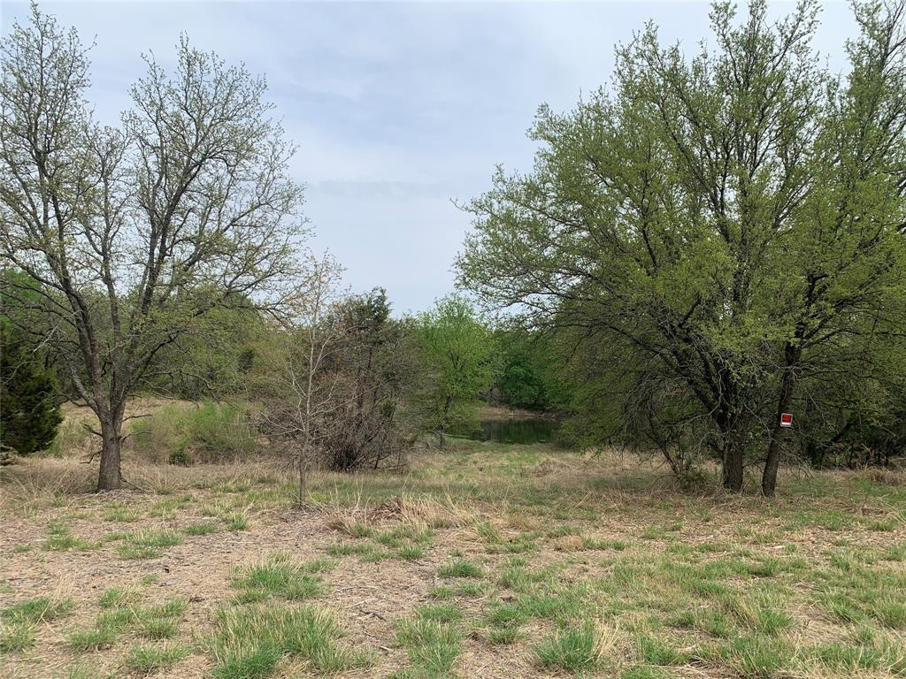 1039-1033 Creek Crossing Road Nemo, TX 76070 - Photo 25 of 29 a view of a yard with a tree
