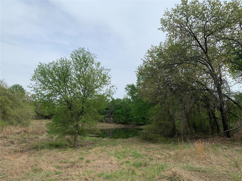 1039-1033 Creek Crossing Road Nemo, TX 76070 - Photo 25 of 31 a view of a forest