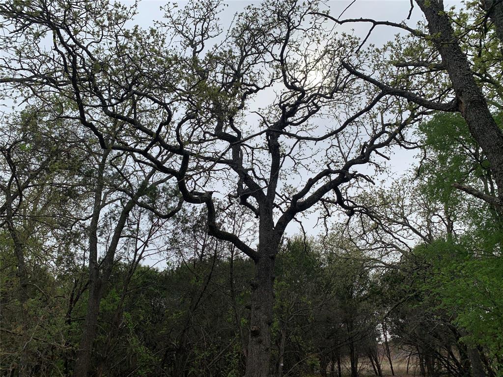 1039-1033 Creek Crossing Road Nemo, TX 76070 - Photo 28 of 29