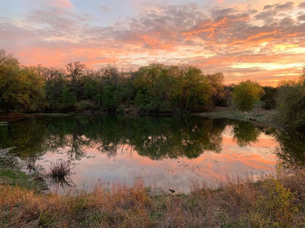1039-1033 Creek Crossing Road Nemo, TX 76070 - Photo 29 of 29