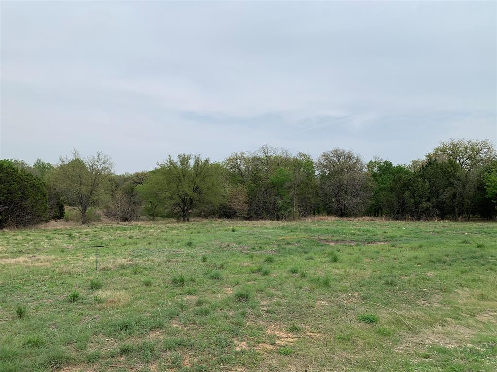 1039-1033 Creek Crossing Road Nemo, TX 76070 - Photo 31 of 31 a big yard with lots of green space