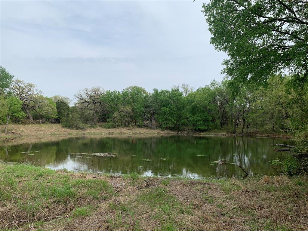 1039-1033 Creek Crossing Road Nemo, TX 76070 - Photo 4 of 31 a view of a lake in between two large trees