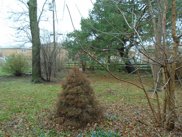 $399,900 | 8524 Ottawa Avenue, Niles, IL 60714