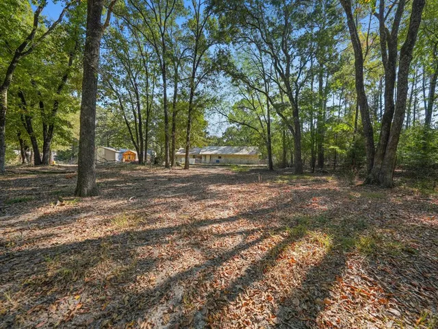 a view of a tree in the middle of a yard