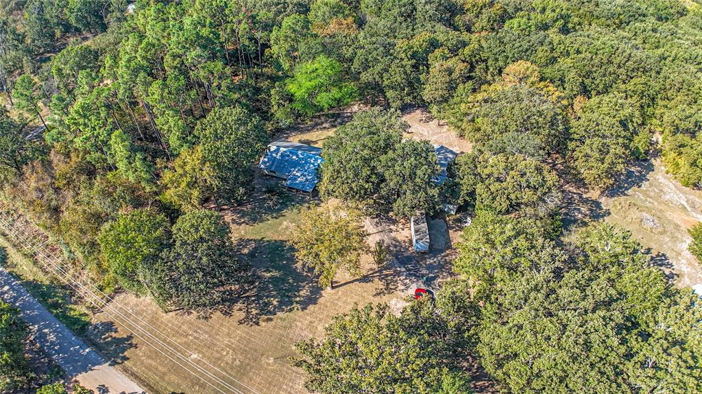 288 County Road 1858 Yantis, TX 75497 - Photo 18 of 18 a picture of trees