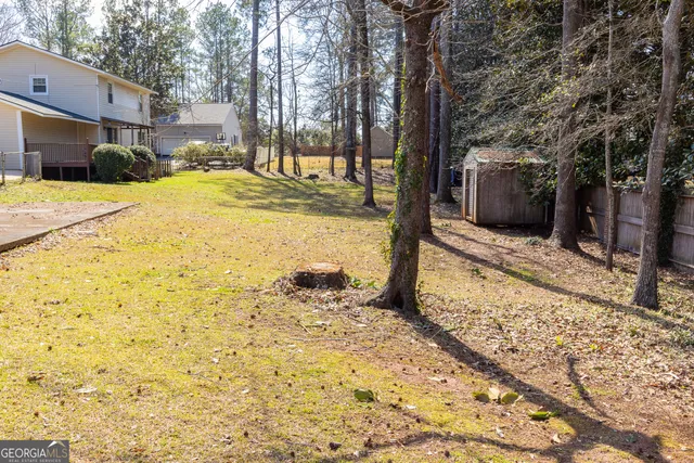 a view of a backyard with a tree