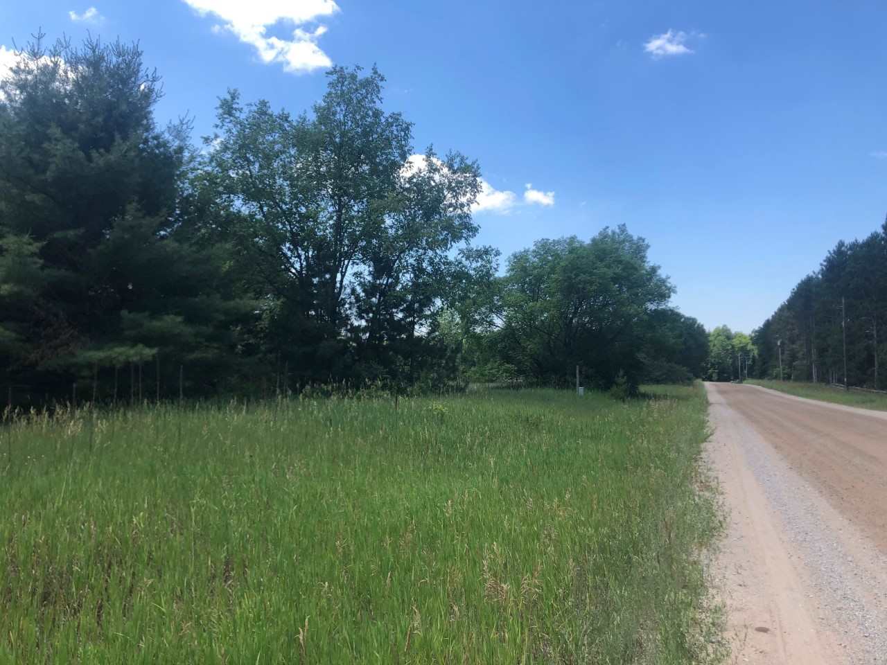 0 Vondra Road Thompsonville, MI 49683 - Photo 8 of 10 1876673-7.JPG