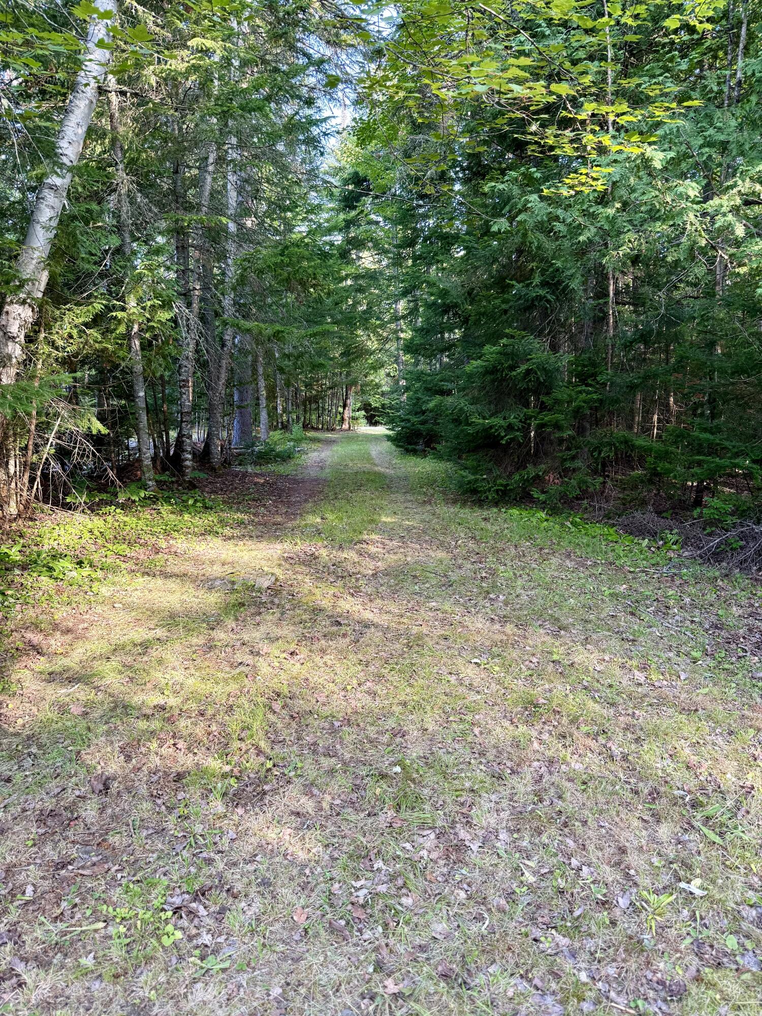 40 South South Brook Road Greenville, ME 04441 - Photo 21 of 31 IMG_2662