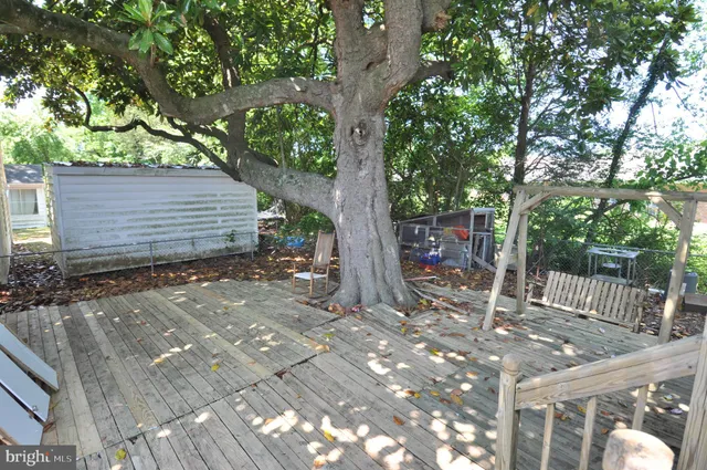 a view of a backyard with a large tree