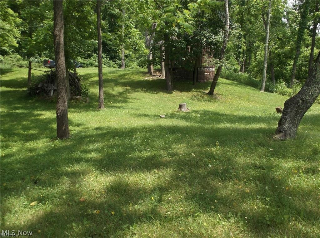 59208 Trail Run Road Byesville, OH 43723 - Photo 10 of 18