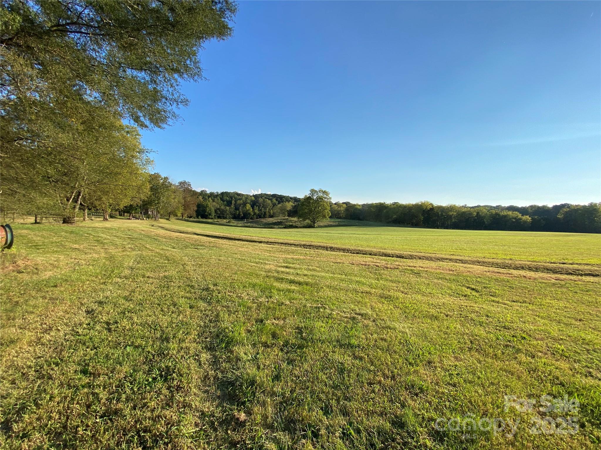980 Parks Road Woodleaf, NC 27054 - Photo 33 of 48
