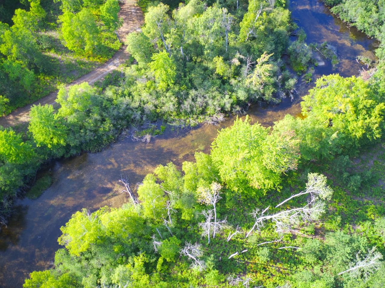 15-acres Wallin Road Thompsonville, MI 49683 - Photo 11 of 14 No association! Country seclusion! Borders over Thousands of acres of State Land-horse, bike, ORV trails Betsie River on state land just down the road.