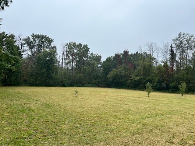 Vl Anstee Road Clyde, NY 14433 - Photo 1 of 1 Cleared Area